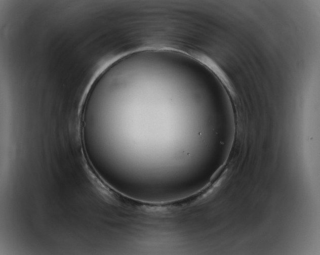 X0000086901004200704161311