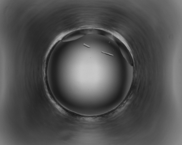 X0000086901005200704161311