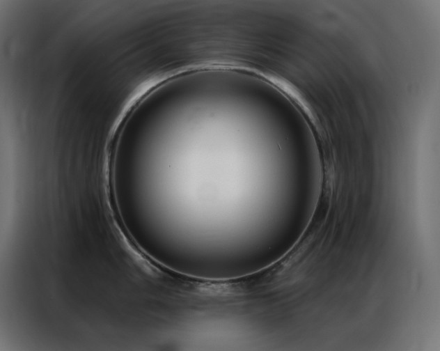 X0000086901006200704161311