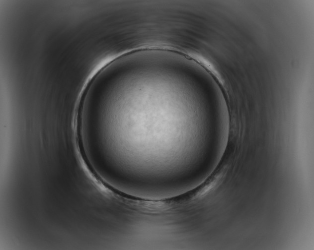X0000086901007200704161311