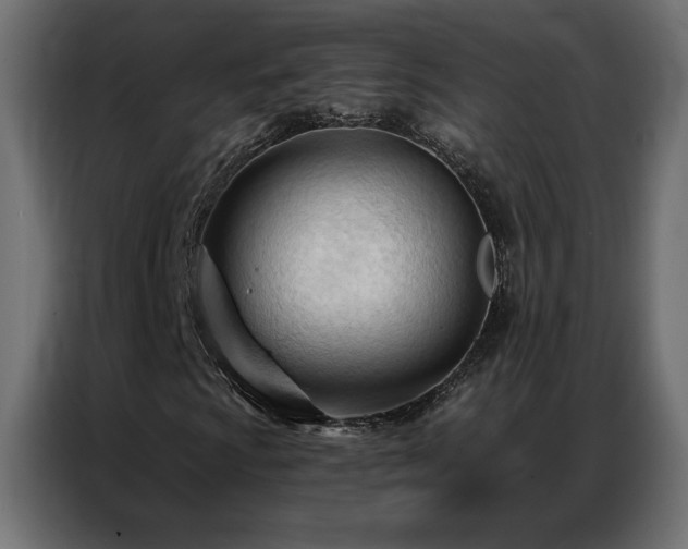 X0000086901009200704161310