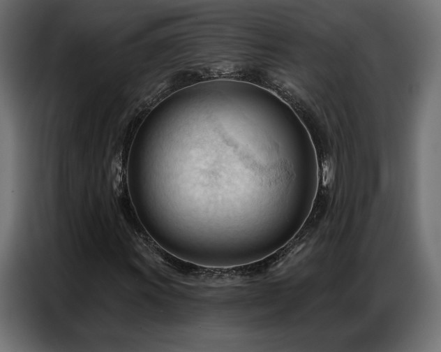 X0000086901011200704161310