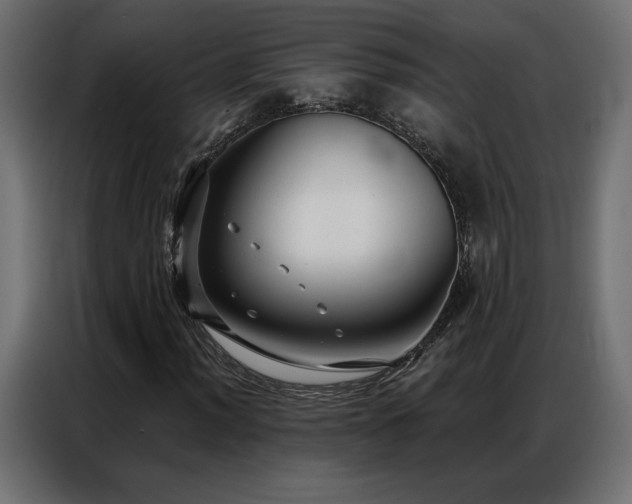 X0000086901012200704161310