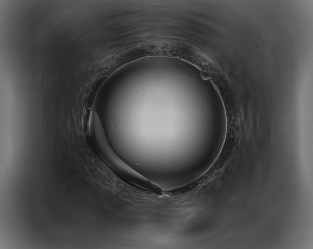 X0000086901013200704161310