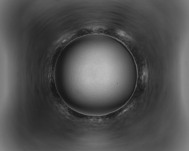 X0000086901014200704161310