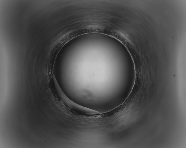 X0000086901015200704161310