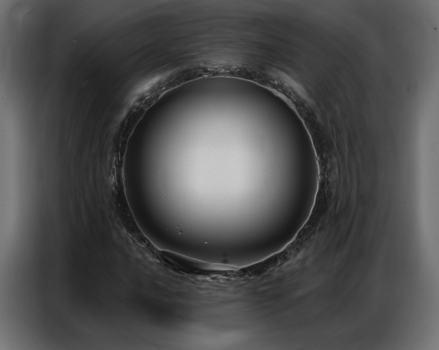 X0000086901016200704161310