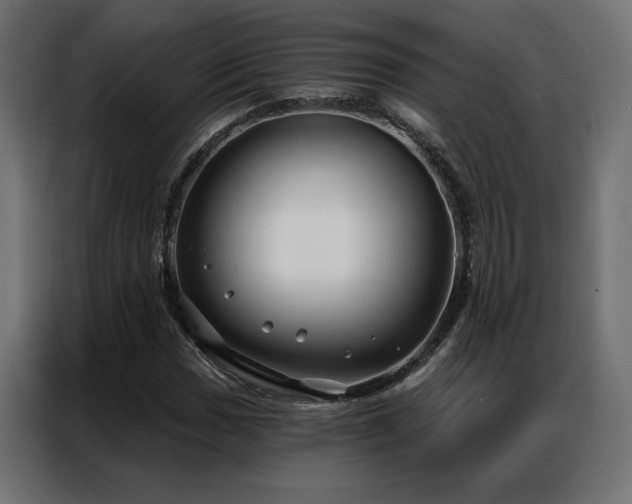 X0000086901017200704161310
