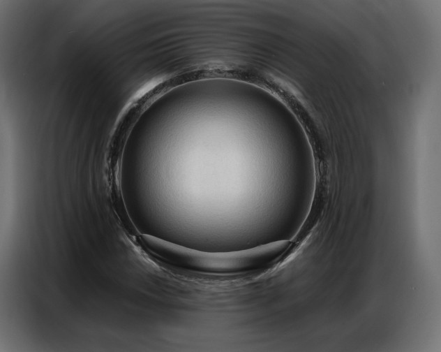 X0000086901018200704161310