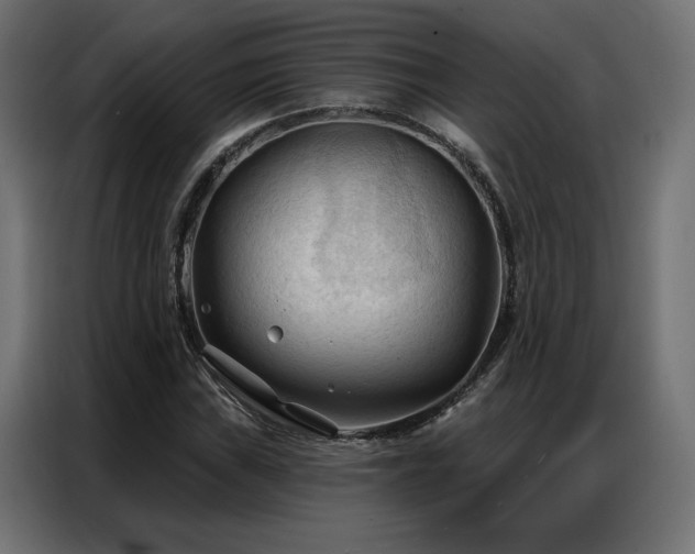 X0000086901019200704161310