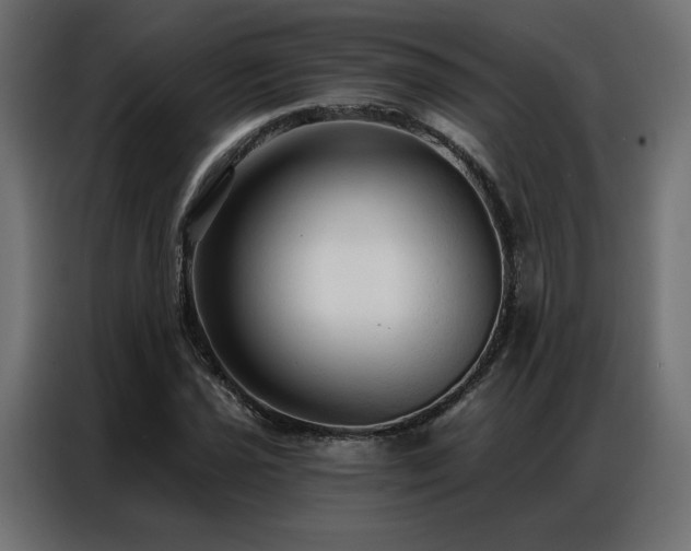 X0000086901021200704161310