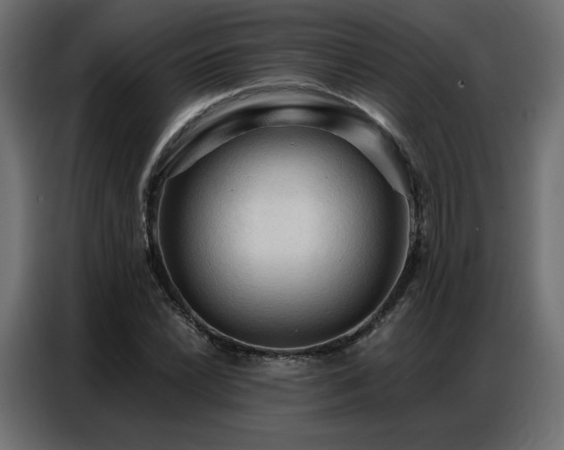 X0000086901022200704161310