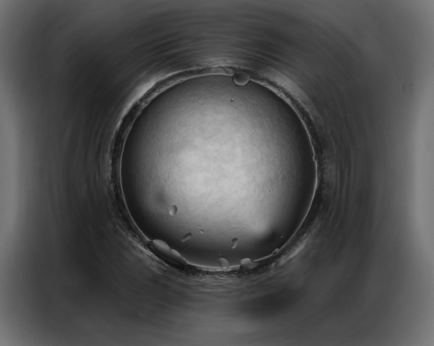 X0000086901023200704161310