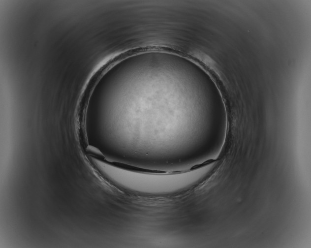 X0000086901024200704161310