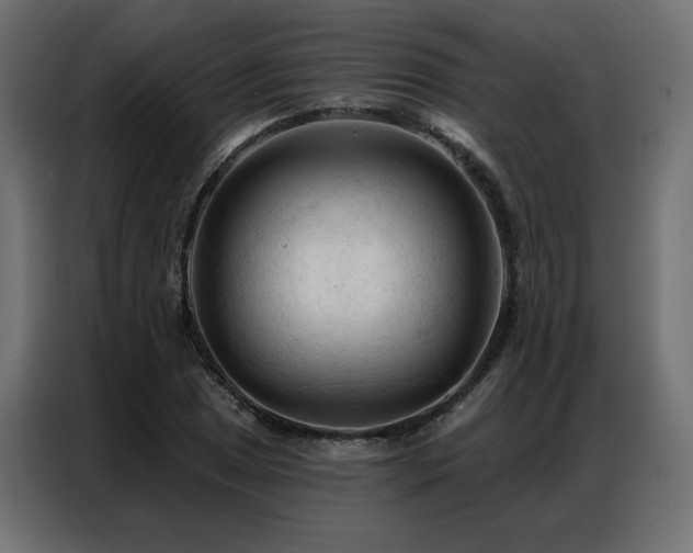 X0000086901025200704161310