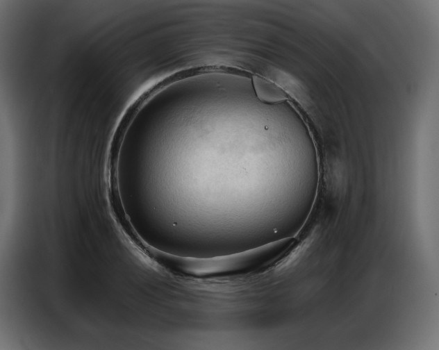 X0000086901028200704161310