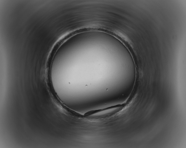 X0000086901029200704161310