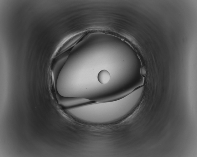 X0000086901030200704161310