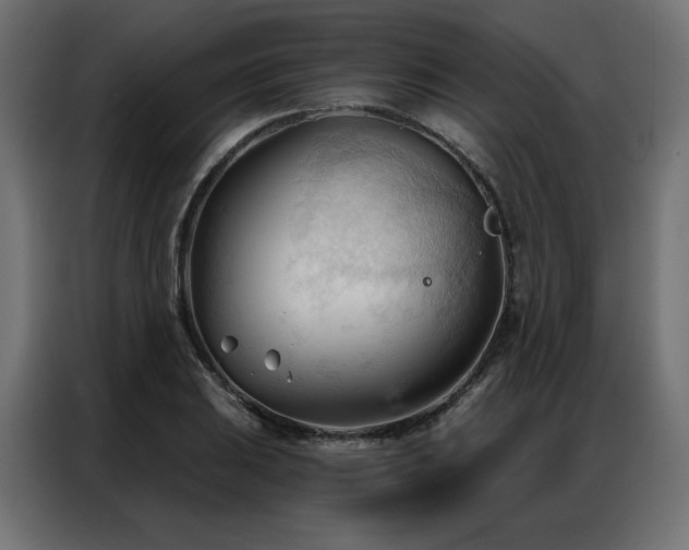 X0000086901031200704161310