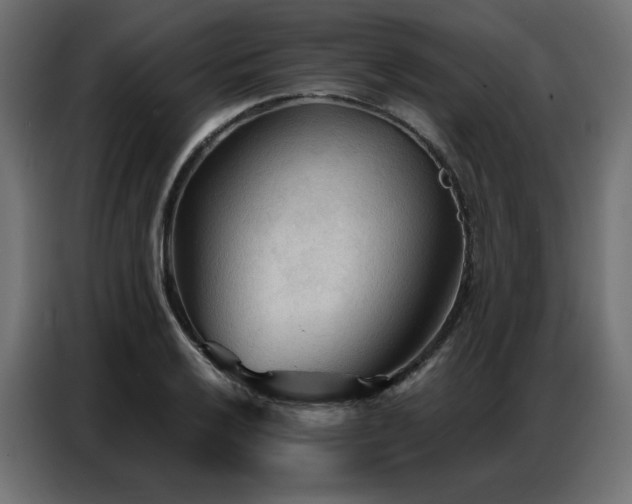X0000086901032200704161310