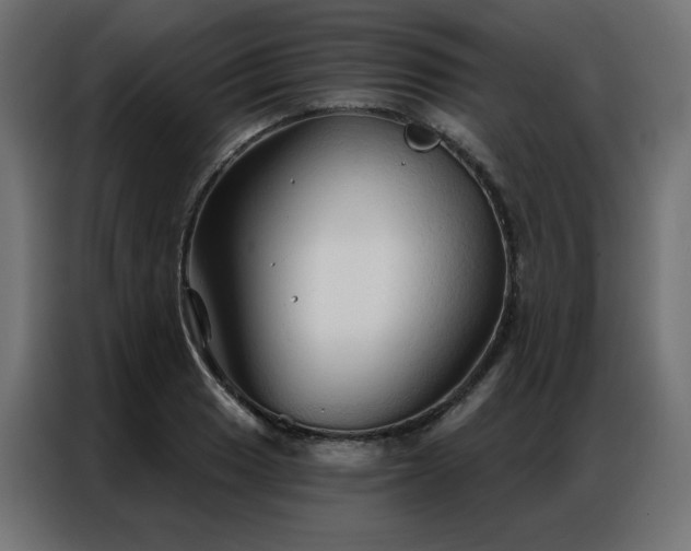 X0000086901033200704161310