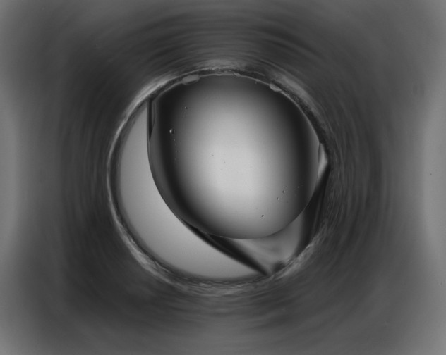 X0000086901034200704161310