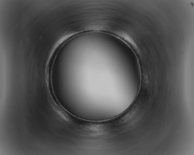 X0000086901035200704161310