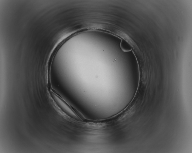 X0000086901036200704161310