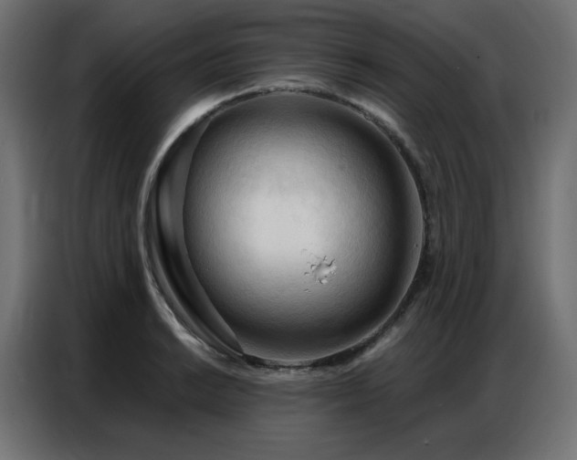X0000086901038200704161310
