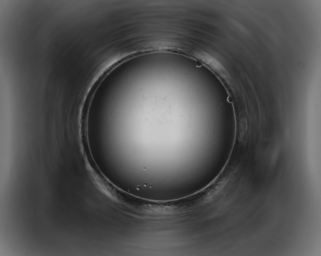 X0000086901039200704161310