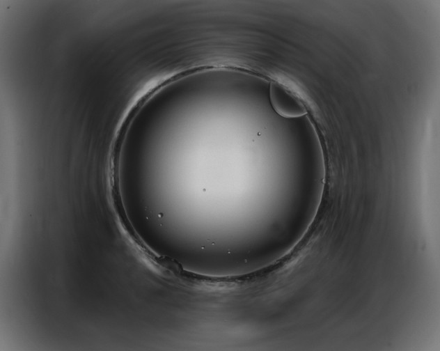 X0000086901040200704161310