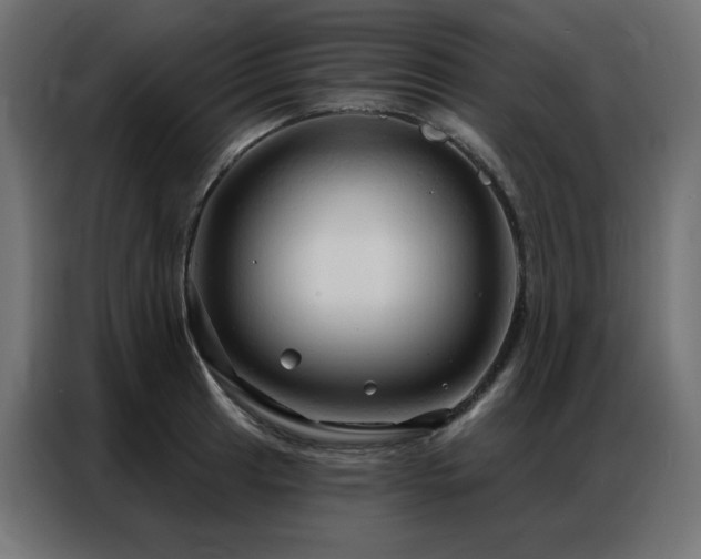 X0000086901041200704161310