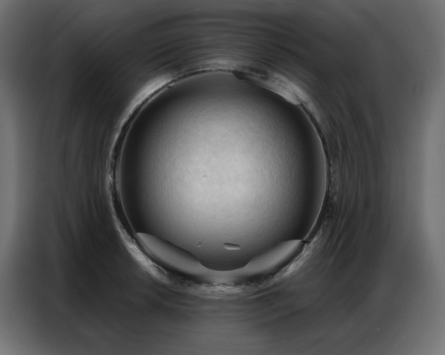 X0000086901042200704161310