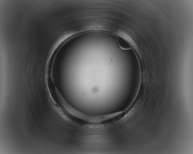 X0000086901043200704161310