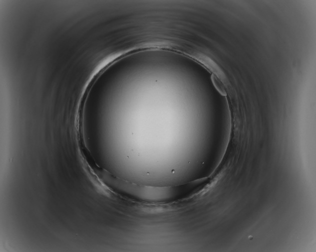 X0000086901044200704161310