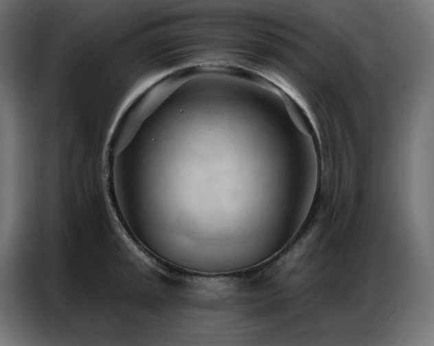X0000086901045200704161310