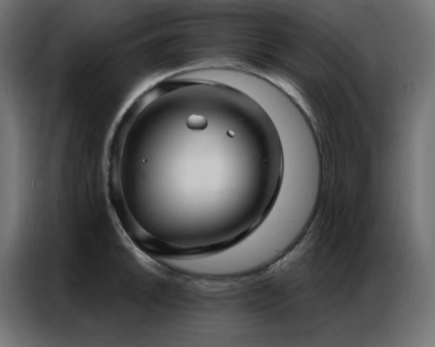 X0000086901046200704161310