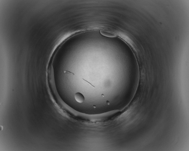 X0000086901047200704161310