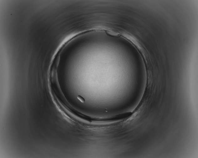 X0000086901048200704161310