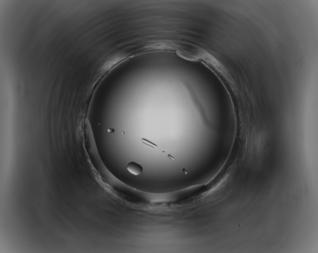 X0000086901049200704161310