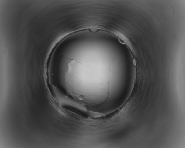 X0000086901051200704161310