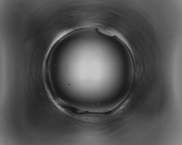 X0000086901053200704161311