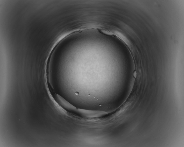 X0000086901055200704161311