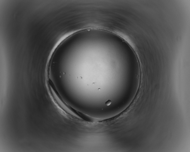 X0000086901056200704161311