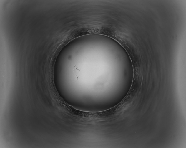 X0000086901057200704161310