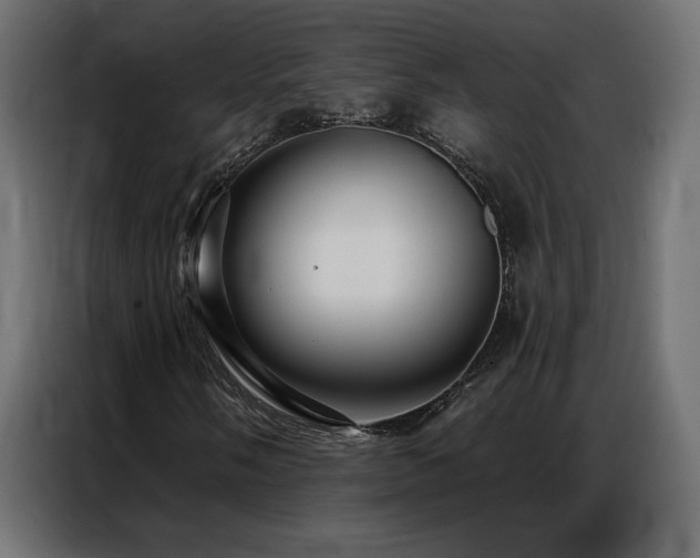 X0000086901058200704161310