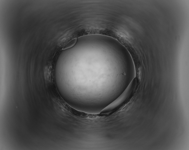 X0000086901059200704161310