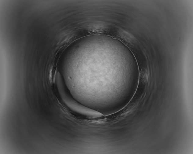 X0000086901060200704161310