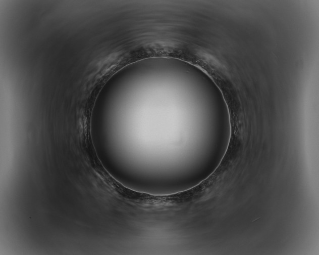 X0000086901061200704161310