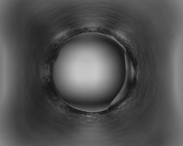 X0000086901062200704161310